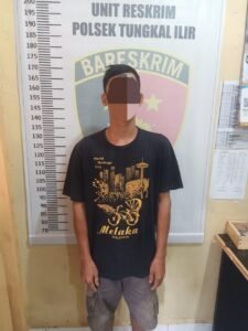 Pelaku Pencurian Buah Kelapa Sawit PTPN di Amankan Polsek Tungkal Ilir