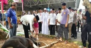Hari Raya Idul Adha 1445 H, Polres Banyuasin Potong 9 Ekor Sapi Kurban