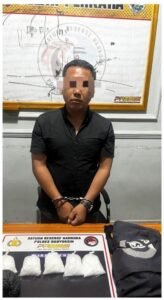 Diduga Kurir Sabu, EHW Diamankan Satres Narkoba Polres Banyuasin