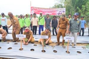 Terus Tekan Inflasi, Banyuasin Ikut Gerakan Tanam Serentak Cabai Dan Bawang Merah