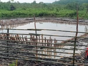 Warga Ragukan Kualitas Bangunan Embung Kecil di Desa Bengkuang Banyuasin, Ini Kata Kades