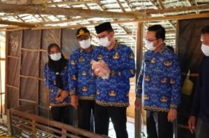 Pj Bupati Banyuasin Lakukan Monitoring Ayam di Tingkat Peternak
