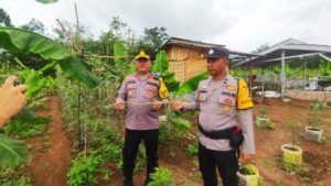 Polsek Talang Ubi Dorong Ketahanan Pangan dan Hijaukan Lingkungan Melalui Pemanfaatan Lahan Tidur