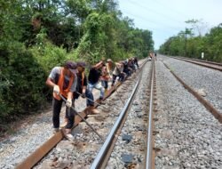 Tingkatkan Keselamatan, Selama 2024 KAI Divre III Palembang Ganti Rel Baru Sepanjang 131.500 Meter