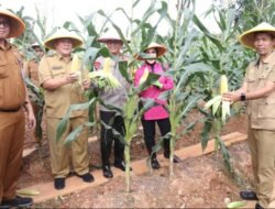 Dukung Ketahanan Pangan, Polda Sumsel Ikuti Launching Program (P2L)