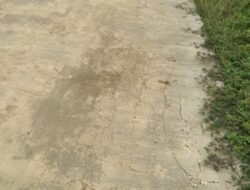 Penggunaan Anggaran Dana Desa Rimba Alai Banyuasin Jadi Sorotan, Diduga Banyak Mark-Up