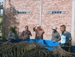 Kelompok Budidaya Ikan Binaan Dinas Perikan Kabupaten PALI Panen Lele 6 Kolam