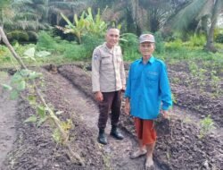 Cek Perkebunan Warga, Aiptu Amran Firdaus Mengungkapkan Petani Terkendala Pupuk