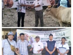 PT. ABURAHMI Menyerahkan Hewan Kurban Ke Desa Air Itam dan Desa Air Itam Timur