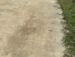 LSM Nusantara Ekspress Desak Audit Dana Desa Rimba Alai, Banyak Dugaan Fiktif dan Mark-Up