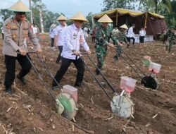 Wakil Bupati Lampung Utara Diwakili Asisten I Hadiri Penanaman Jagung Serentak Dukung Program Ketahanan Pangan Nasional