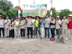 Pemerintah Desa Tanjung Dalam Menggelar Kegiatan Tanam Jagung Hibrida