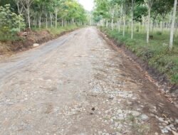 Warga Apresiasi Terhadap Pembangunan Peningkatan Jalan Desa Betung Selatan