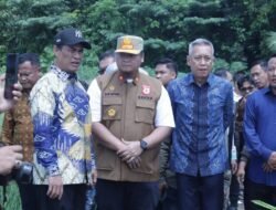 Lumbung Pangan Nomor 2 Nasional, Luar Biasa! Banyuasin Terus Tingkatkan Target Produksi Padi