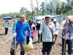 Dalam Mendukung ketahanan Pangan Nasional Pemerintah Desa Muara Dua Gelar Tanam Jagung.