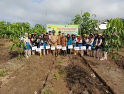 Dalam Rangka Menunjang Perekonomian Masyarakat, Pemerintah Desa Purun Gelar Tanam Jagung.