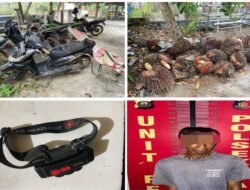 Polsek Talang Ubi Berhasil Ungkap Kasus Pencurian Buah Kelapa Sawit Milik PT Suryabumi Agrolanggeng