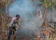 Lahan Desa Bangkalan Dayak Terbakar, Polsek Kelumpang Hulu Gerak Cepat Padamkan Titik Api