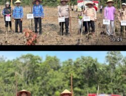Polsek Talang Ubi Dukung Ketahanan Pangan Nasional, Gelar Penanaman Jagung di Desa Benuang