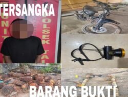 Polsek Talang Ubi Tangkap Pelaku Pencuri Buah Kelapa Sawit di Perkebunan PT. Suryabumi Agrolanggeng