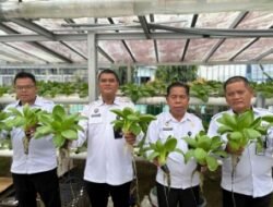 Berkah dari Hidroponik, Lapas Kotabaru Menunjukkan Hasil Nyata Program Pembinaan Kemandirian Bagi WBP Dalam Panen Pakcoy 