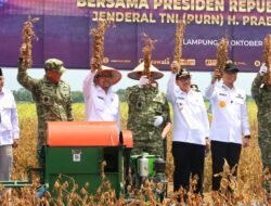Lampung Utara Siap Jadi Sentra Kedelai Nasional, Bupati dan Wakil Bupati Dampingi Menhan dan Mentan Panen Raya di Desa Madukoro