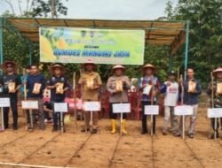 Dalam Rangka Mendukung Ketahanan Pangan Nasional, Pemdes Sukamaju Gelar Tanam Jagung