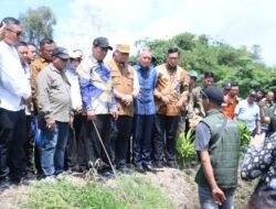 Luar Biasa! Lumbung Pangan Nomor 2 Nasional, Banyuasin Terus Tingkatkan Target Produksi Padi