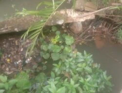 Diduga Limbah Yayasan MBG Buang Kesungai. Lingkungan – Air Berbau Menyengat dan Sumur Terancam Tercema