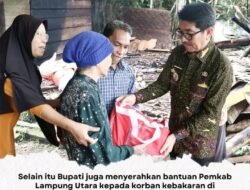 Bupati Tinjau Lokasi Terdampak Hujan Lebat dan Kebakaran untuk Pastikan Penanganan Cepat