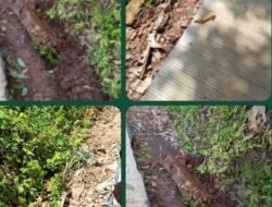 Siring Rusak Akibat Mobil Molen, Pemdes Lubuk Saung Desak Perusahaan Bertanggung Jawab