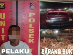 Polsek Talang Ubi Ungkap Kasus Pencurian Sawit, Satu Aktor Intelektual Diamankan