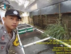 Bhabinkamtibmas Polsek Talang Kelapa Dukung Swasembada Pangan, Gerakkan Masyarakat Manfaatkan Lahan Sempit untuk Kolam Lele