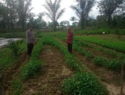 Dari Pekarangan Rumah, Bhabinkamtibmas Tungkal Ilir Gerakkan Warga Dukung Swasembada Pangan