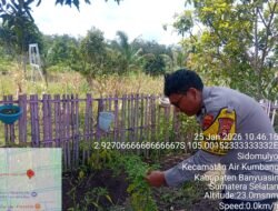 Bhabinkamtibmas Polsek Air Kumbang Ajak Warga Desa Cinta Manis Baru Perkuat Ketahanan Pangan