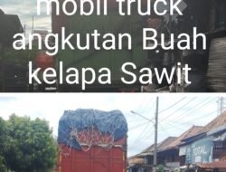 Diduga Melebihi Tonase, Truk Angkutan Buah Kelapa Sawit PT Aburahmi Dikeluhkan Warga Desa Air Itam