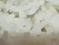 Siswa Mengakui, Sekolah Diduga Membantah ; Polemik Ulat dalam Nasi MBG SMP Negeri 1 Sembawa,