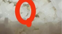 Dinkes Akui Ada Belatung di Nasi MBG SMPN 1 Sembawa, Soroti Higienitas Dapur