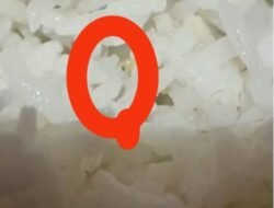 Dinkes Akui Ada Belatung di Nasi MBG SMPN 1 Sembawa, Soroti Higienitas Dapur