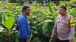 Bhabinkamtibmas Polsek Banyuasin III Gencar Sosialisasikan Program Swasembada Pangan di Desa Langkan