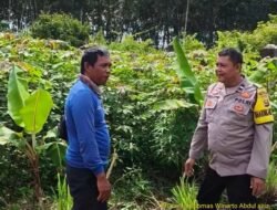 Bhabinkamtibmas Polsek Banyuasin III Gencar Sosialisasikan Program Swasembada Pangan di Desa Langkan