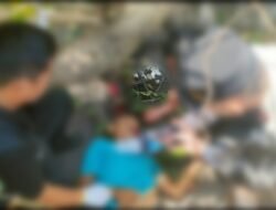 Pohon Tumbang di Bukit Kecil Palembang Tewaskan Satu Pengendara, Jenazah Dibawa ke RS Bhayangkara