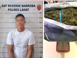 Polres Lahat Gagalkan Peredaran Satu Kilogram Ganja Asal Jarai