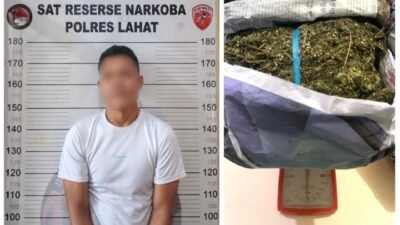 Polres Lahat Gagalkan Peredaran Satu Kilogram Ganja Asal Jarai