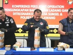 Polisi Amankan Bandar Ganja Lintas Provinsi dan Ungkap  Ladang Ganja 20 Hektar di Empat Lawang
