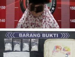 Polres Banyuasin Bekuk Perempuan Pengedar Sabu 37,30 Gram di Desa Upang Jaya