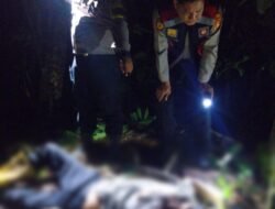 Polres OKUS Jajaran Polda SumselUngkap Kasus Pembunuhan Bermodus Amuk Massa