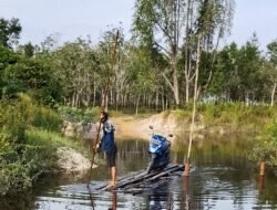Tanpa Jembatan, Warga Desa Air Itam Terpaksa Menyebrangi Sungai Menggunakan Rakit Bambu
