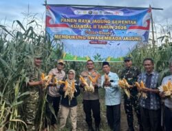 Polres Muratara Gelar Panen Raya Jagung Serentak Kuartal II, Dukung Swasembada Pangan 2026   