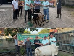 PT Aburahmi Salurkan Hewan Kurban untuk Masyarakat Jelang Idul Adha 1447 H